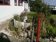 PICT0081