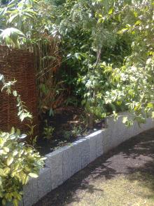 Bild0091