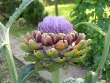 DSCN0896